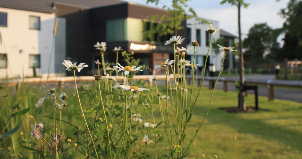 Alcester Primary Care Centre DSA Environment & Design Ltd